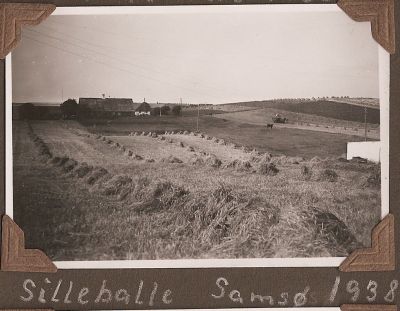 Sildeballe, SamsÃ¸ 1938
