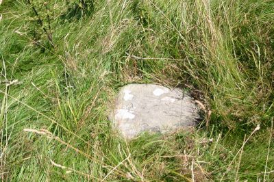 En sten.
Der skulle efter sigende vÃ¦re to gamle gravstene pÃ¥ kirkegÃ¥rden, men de var ej at finde - mÃ¥ske denne her flade sten kunne have vÃ¦ret brugt som gravsten?
