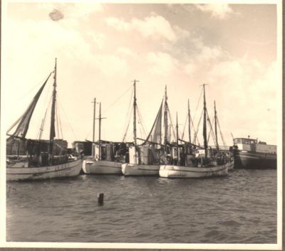 Kolby KÃ¥s Fiskerihavn 1954
Modtaget af Sven Bay Andersen.
